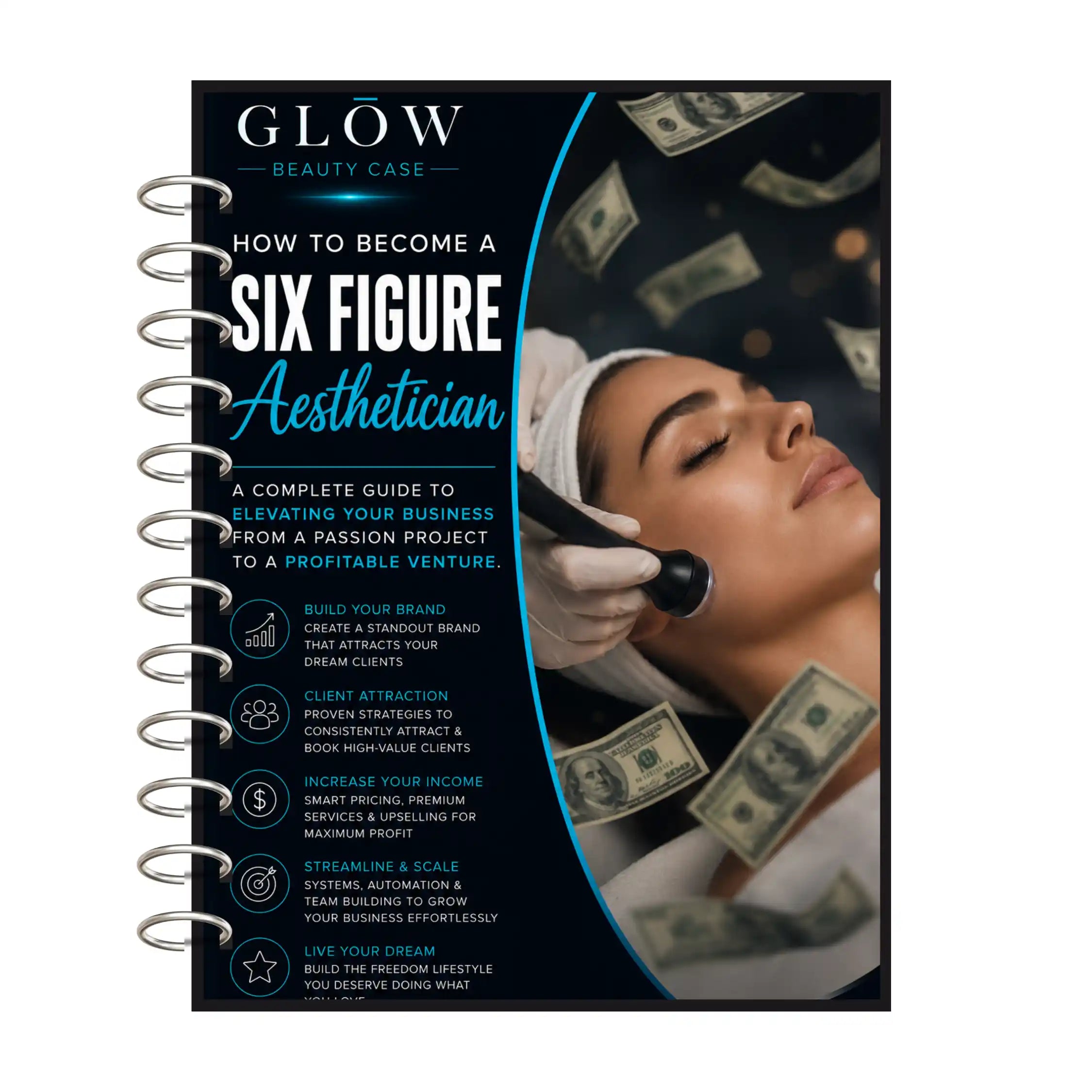 Six Figure Aesthetician Ebook Guide – NEW for 2026 - Ebook Guide