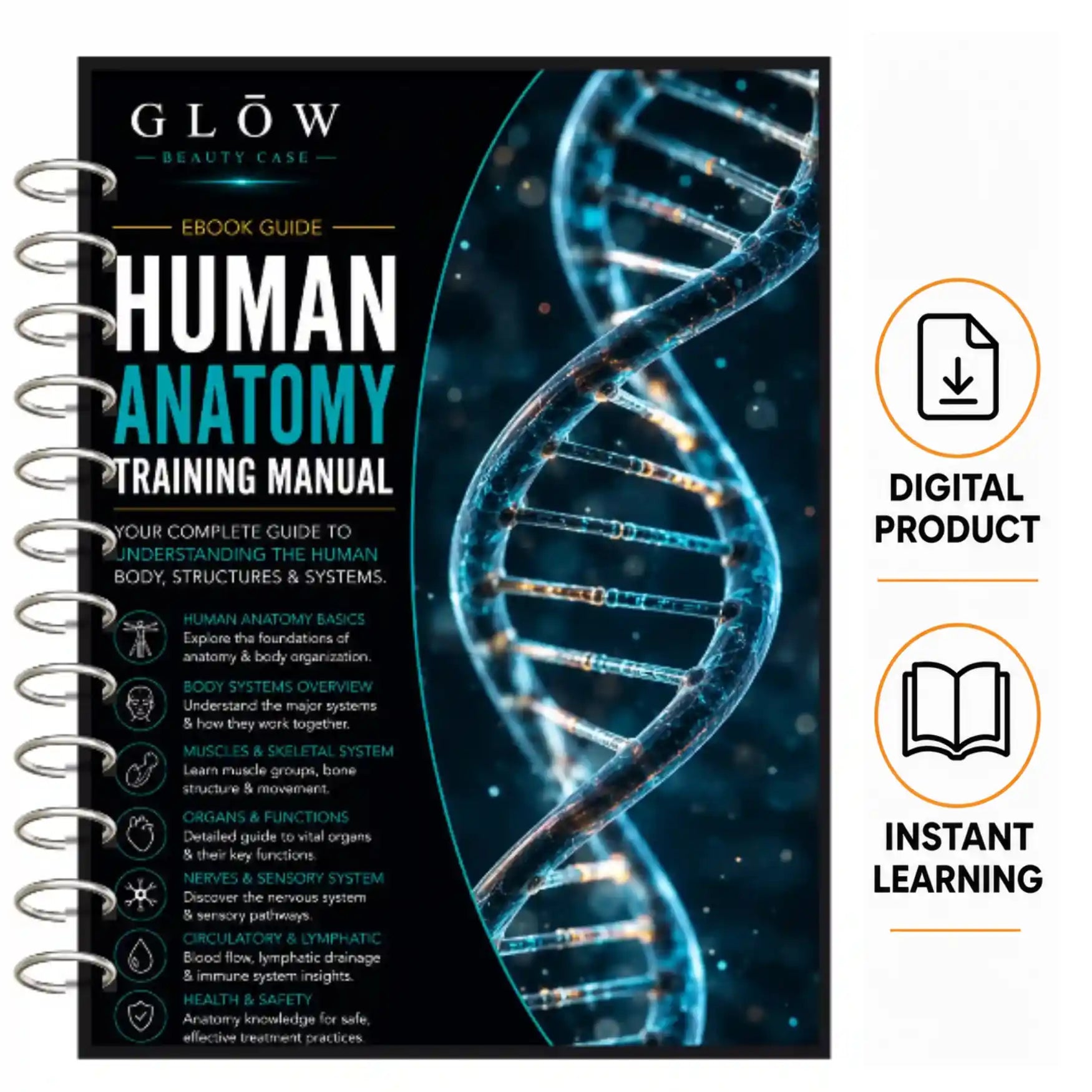 Human Anatomy Training Manual 2026, Level 3 eBook