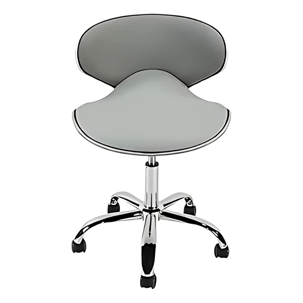 Beauty Salon Chair
