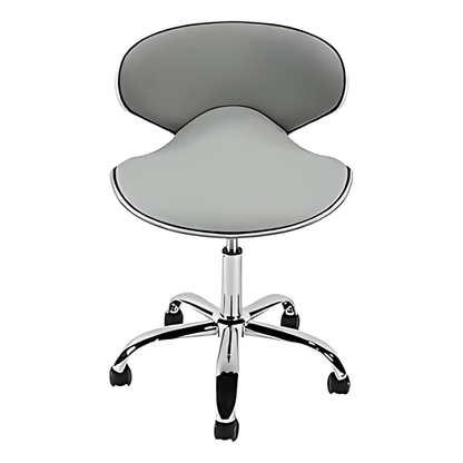 Beauty Salon Chair
