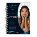 Professional Success In Aesthetics Ebook Manual