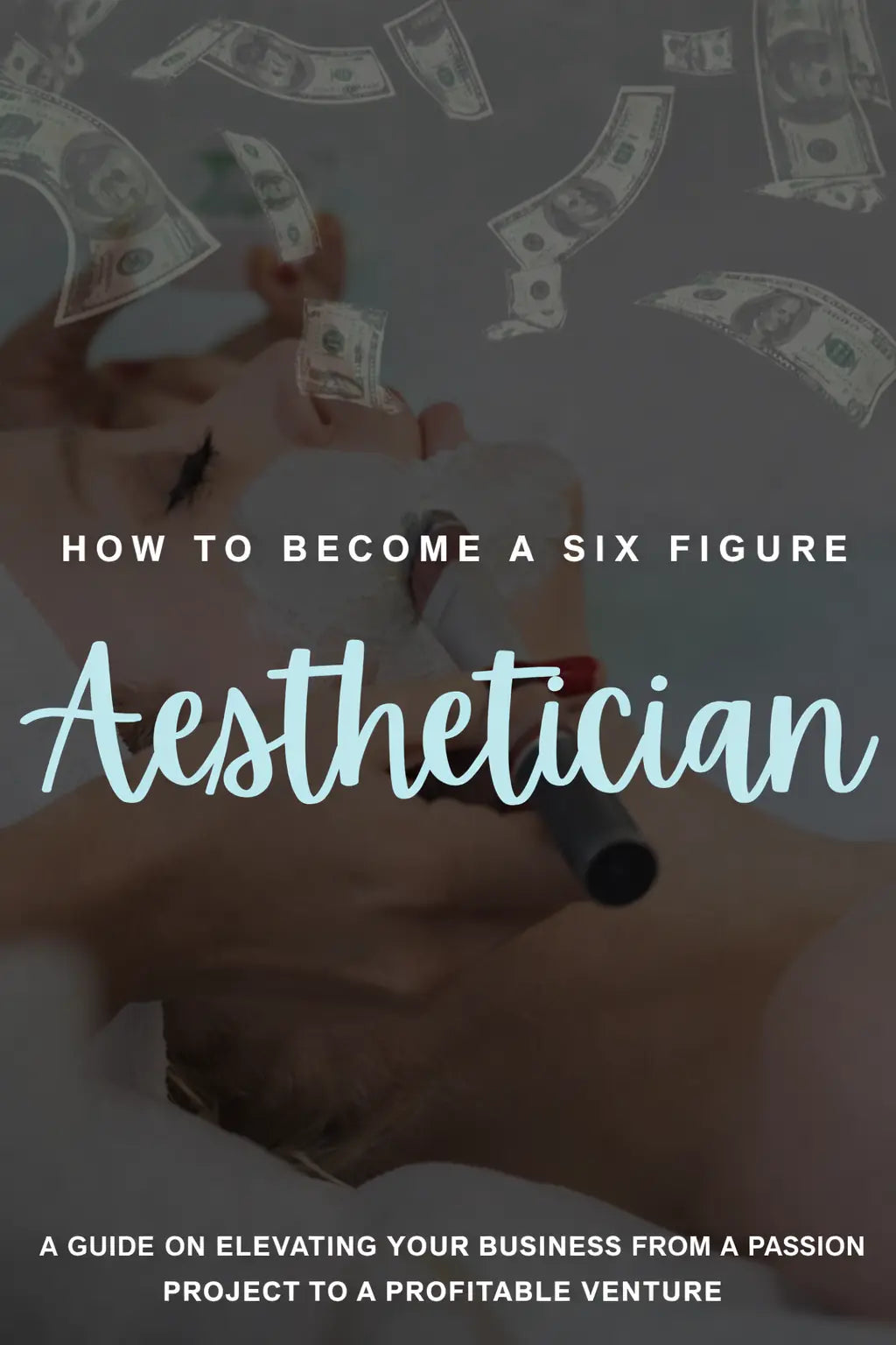 Six Figure Aesthetician Ebook Guide – NEW for 2026 - Ebook Guide