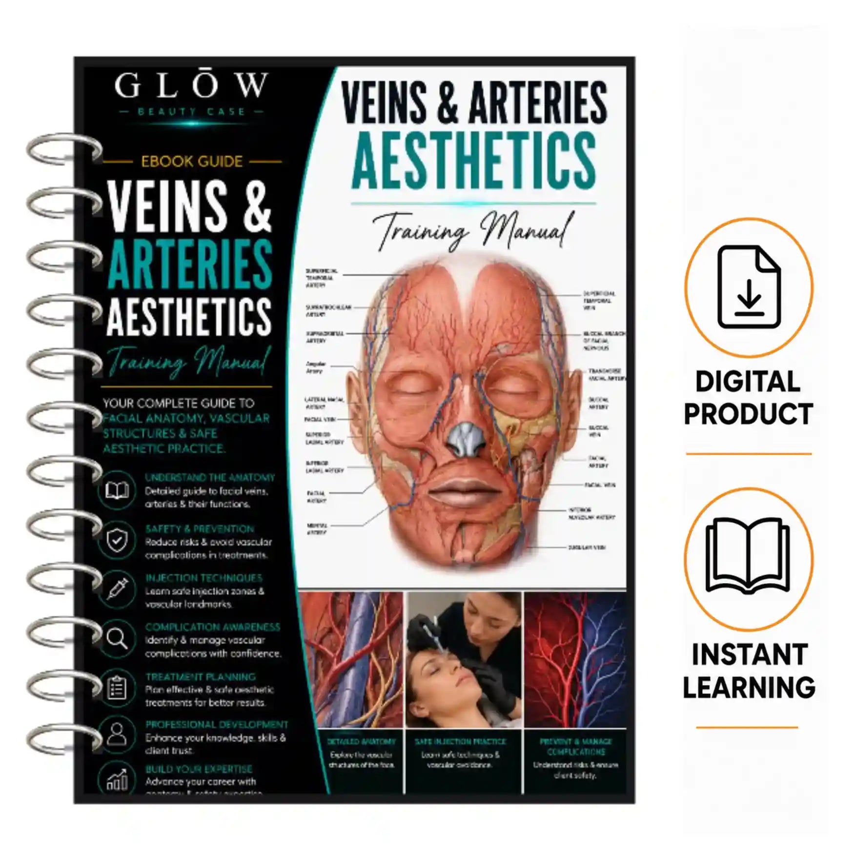 Veins & Arteries Aesthetics Training Manual – Complete Professional Guide to Vascular Anatomy
