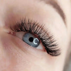 eye lash courses