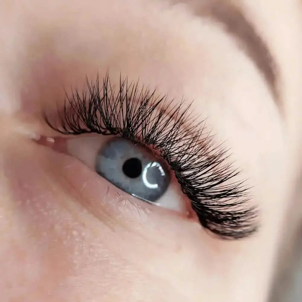 eye lash courses