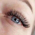 eye lash courses
