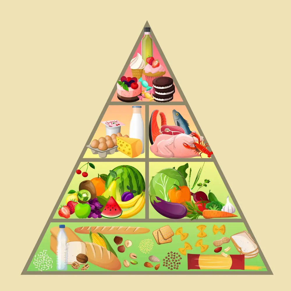 learn nutrition online